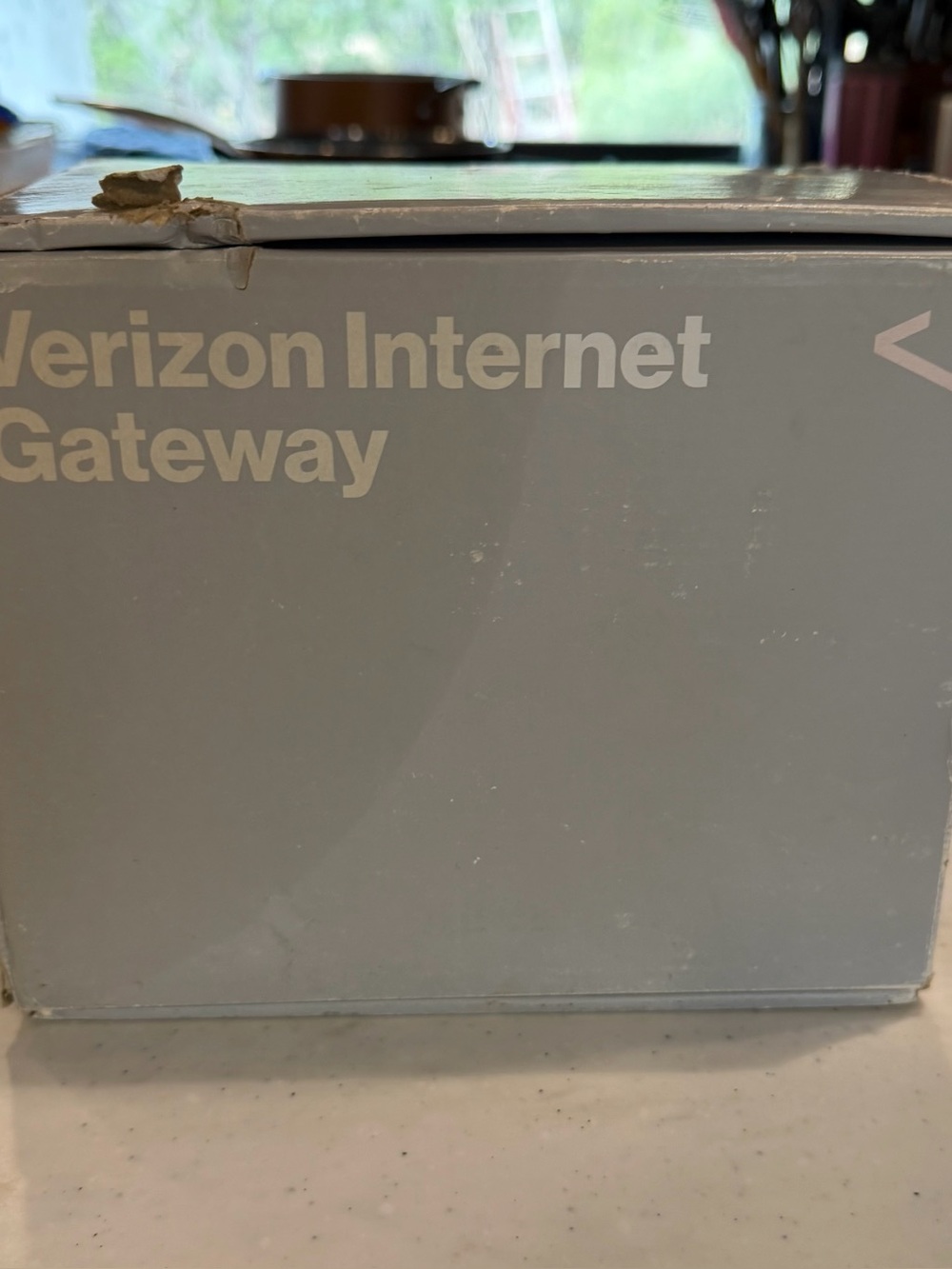 Verizon Internet Gateway